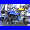 DSC01103.JPG