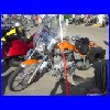DSC01152.JPG