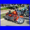 DSC01163.JPG