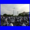 DSC01204.JPG