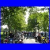 DSC01243.JPG