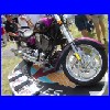 DSC01271.JPG