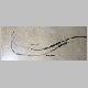 WaZoos_Clutch_Cable_061208_0065.JPG