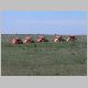 tx_ride_061022_113.jpg