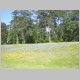 vtexas_spring_flowers_070405_001.jpg