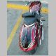 tx_ride_081025_0136.JPG