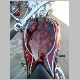 tx_ride_081025_0137.JPG