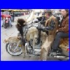Sturgis_2004_010.jpg