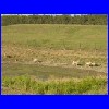 Sturgis_2004_076.jpg