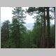 Sturgis_2005_0420.JPG